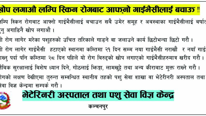सुदूरका विद्यार्थीको प्रतिभा पहिचान गर्न पाँच विद्यामा प्रतिस्पर्धा