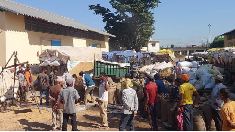 धानको कोटा अपुग, चामलको आयात चुलिँदै : किसान मारमा, व्यापारी फाइदामा
