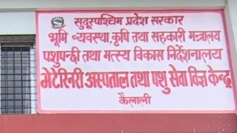 चिकित्सकविहीन पशु अस्पताल, उपचार सेवा ठप्प, रोग फैलिने गम्भीर जोखिम