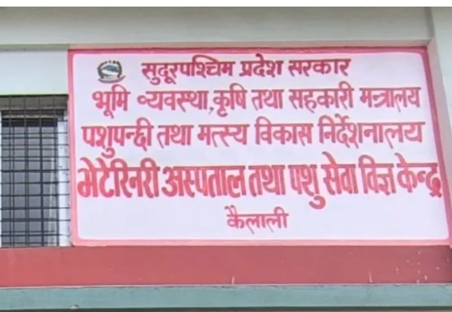 चिकित्सकविहीन पशु अस्पताल, उपचार सेवा ठप्प, रोग फैलिने गम्भीर जोखिम